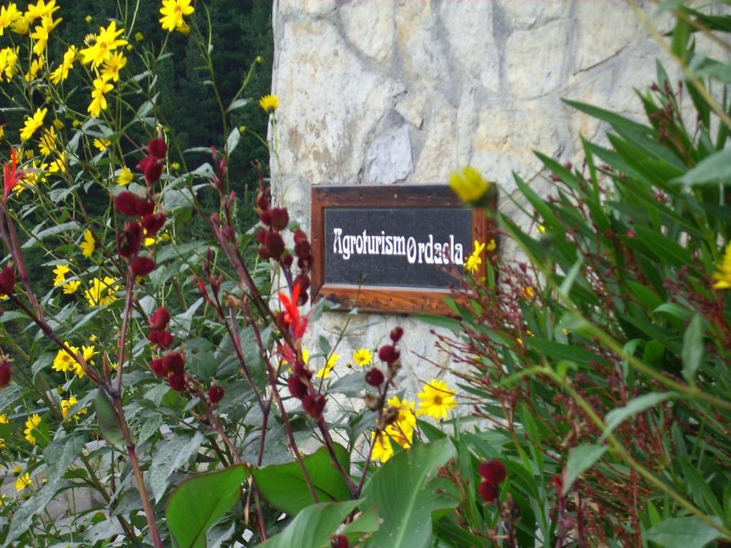 Agroturismo Ordaola Alonsotegi Exteriér fotografie